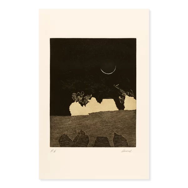 Frutos de duelo: sombras y reflejos, P.A., 1988. 70×50 cm, grabado: aguafuerte, punta seca y agua tinta.