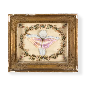 Una mariposa de 12 antenas, 1974. 27×32 cm, mixta.